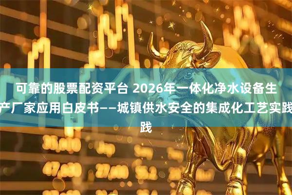 可靠的股票配资平台 2026年一体化净水设备生产厂家应用白皮书——城镇供水安全的集成化工艺实践