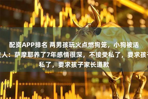 配资APP排名 两男孩玩火点燃狗笼，小狗被活活烧死！主人：萨摩耶养了7年感情很深，不接受私了，要求孩子家长道歉