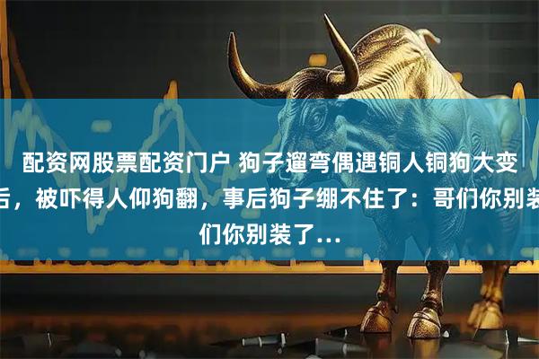 配资网股票配资门户 狗子遛弯偶遇铜人铜狗大变活人后，被吓得人仰狗翻，事后狗子绷不住了：哥们你别装了…